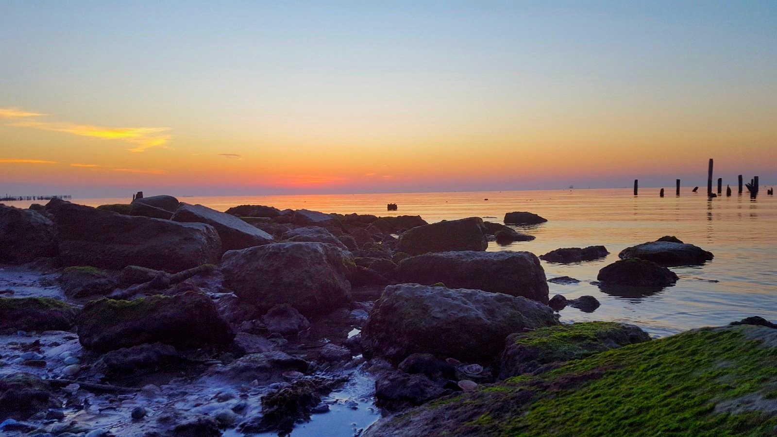 Seabrook, TX artificial turf projects