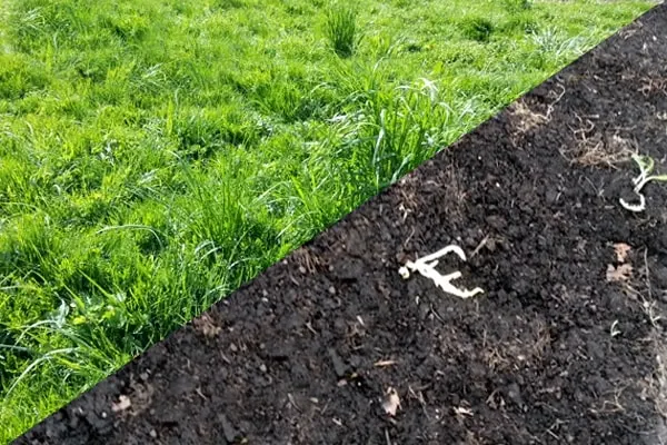 Artificial Turf Removal and Disposal in Baytown, TX